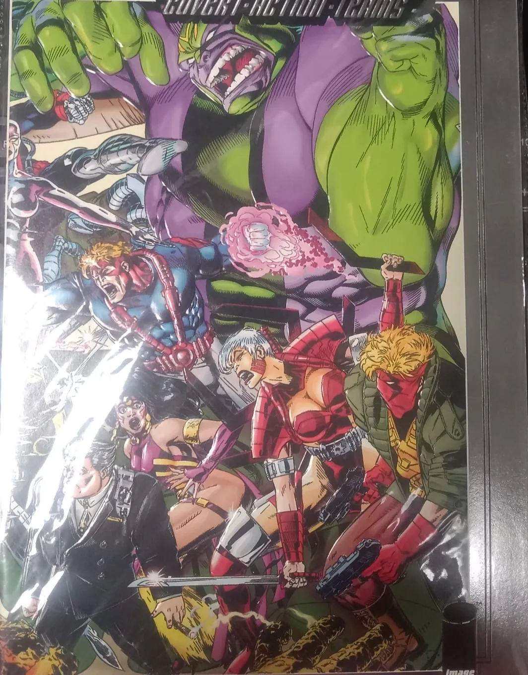 WildC.A.T.s
